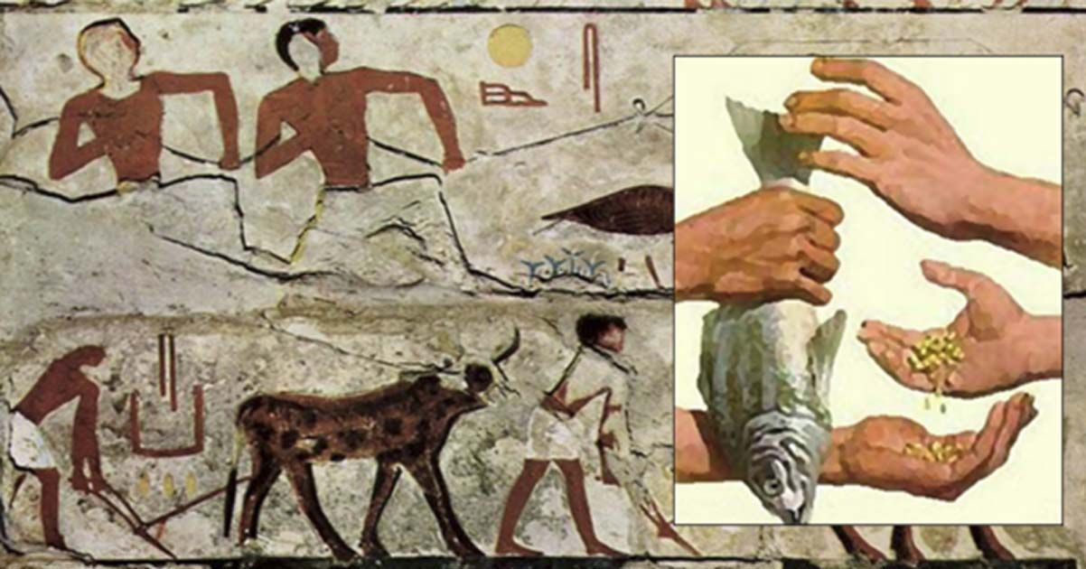 market-A Glimpse into Ancient Egypt Economics-historyglimpse