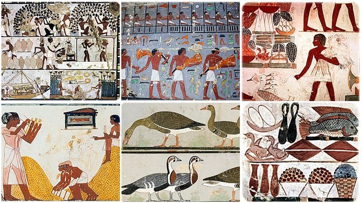 staplesfood-Unlocking the Mysteries: 10 Interesting Facts About Ancient Egypt-historyglimpse